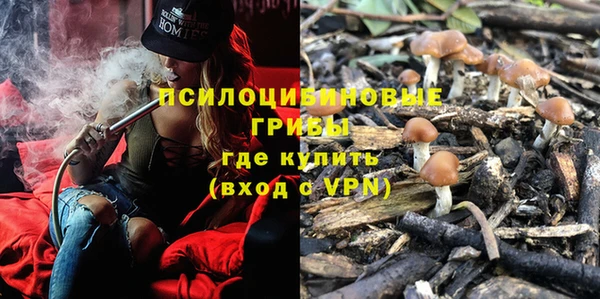 ALPHA PVP Арсеньев