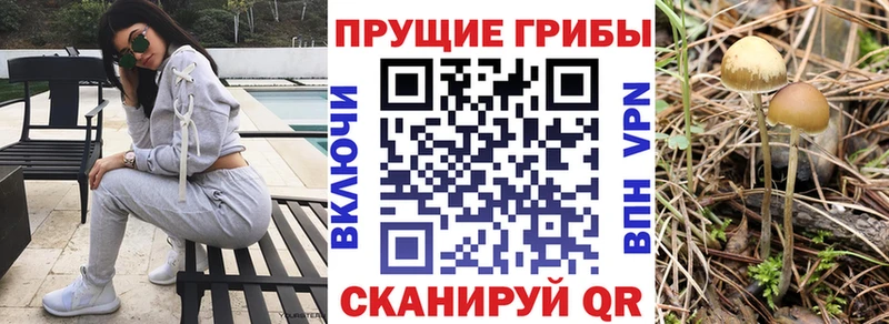 Псилоцибиновые грибы прущие грибы  Соликамск 