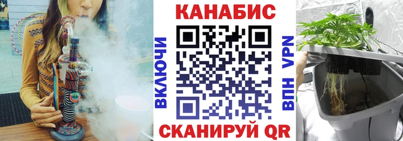 kraken как войти  Соликамск  Бошки марихуана ГИДРОПОН  где купить наркоту 